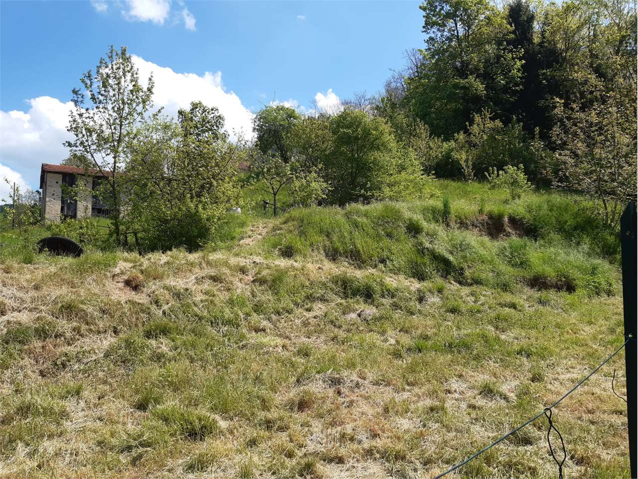 immagine annuncio 7 di 11