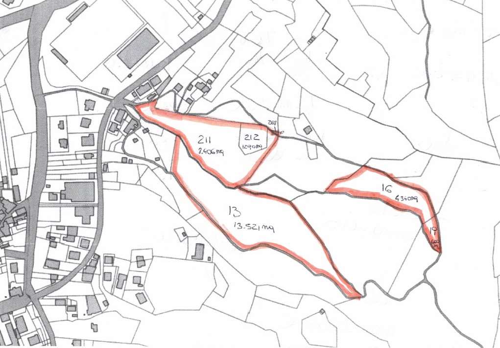 immagine annuncio 10 di 11