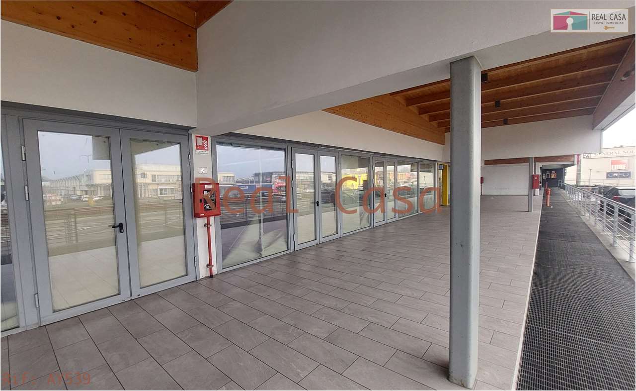 Affitto affitto, Modena