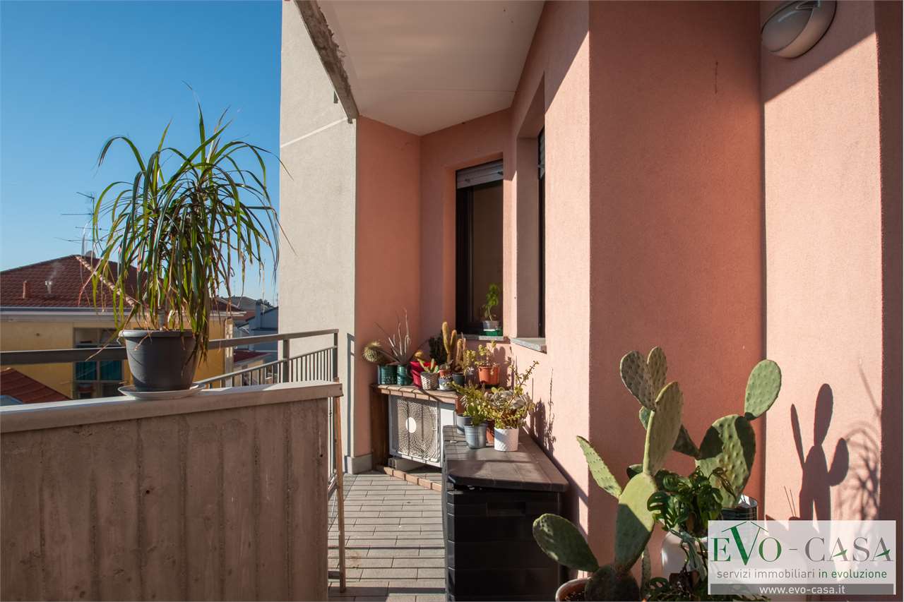 immagine annuncio 11 di 14