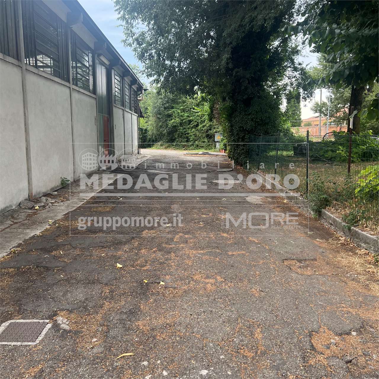 immagine annuncio 8 di 13