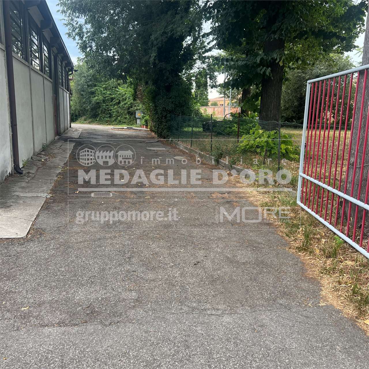 immagine annuncio 7 di 13