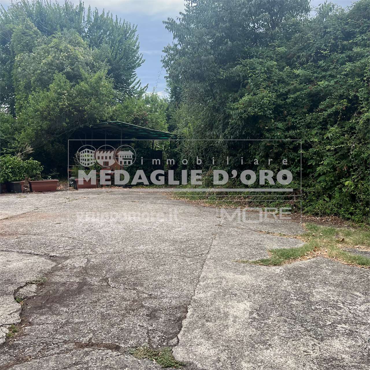immagine annuncio 9 di 13