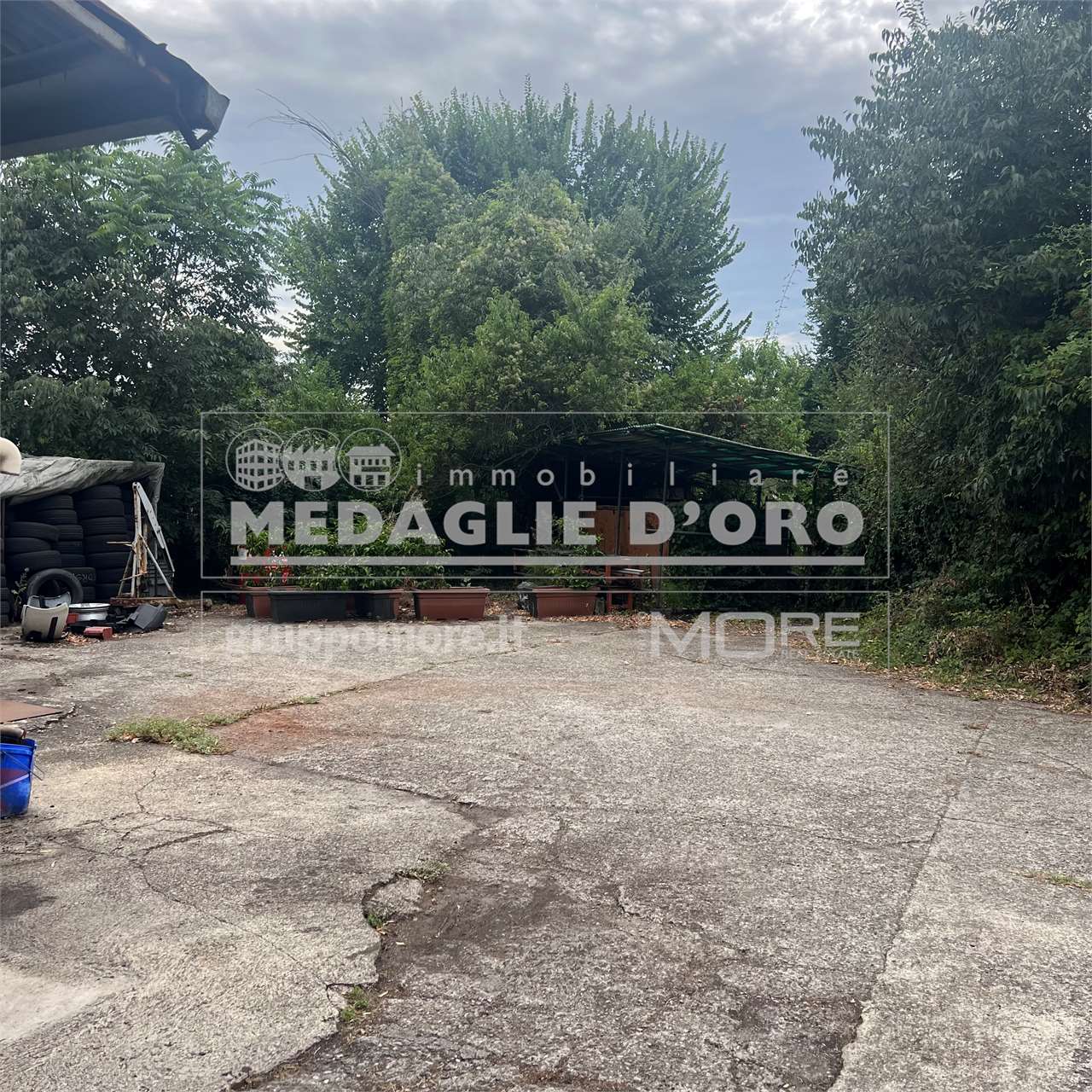 immagine annuncio 10 di 13