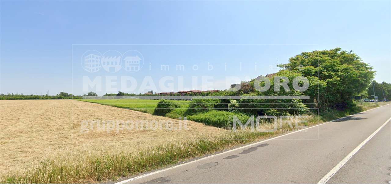 immagine annuncio 4 di 7