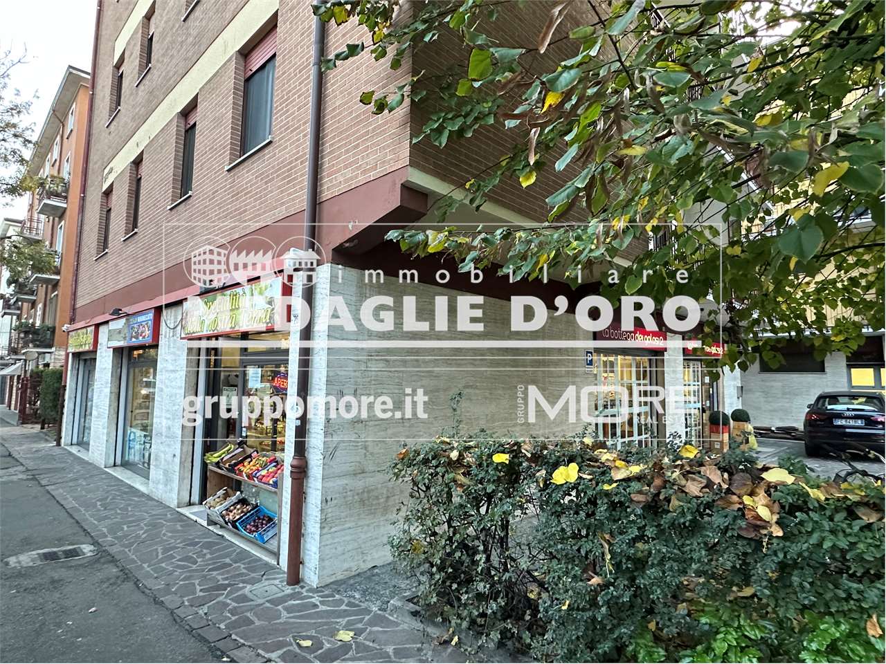 immagine annuncio 1 di 7