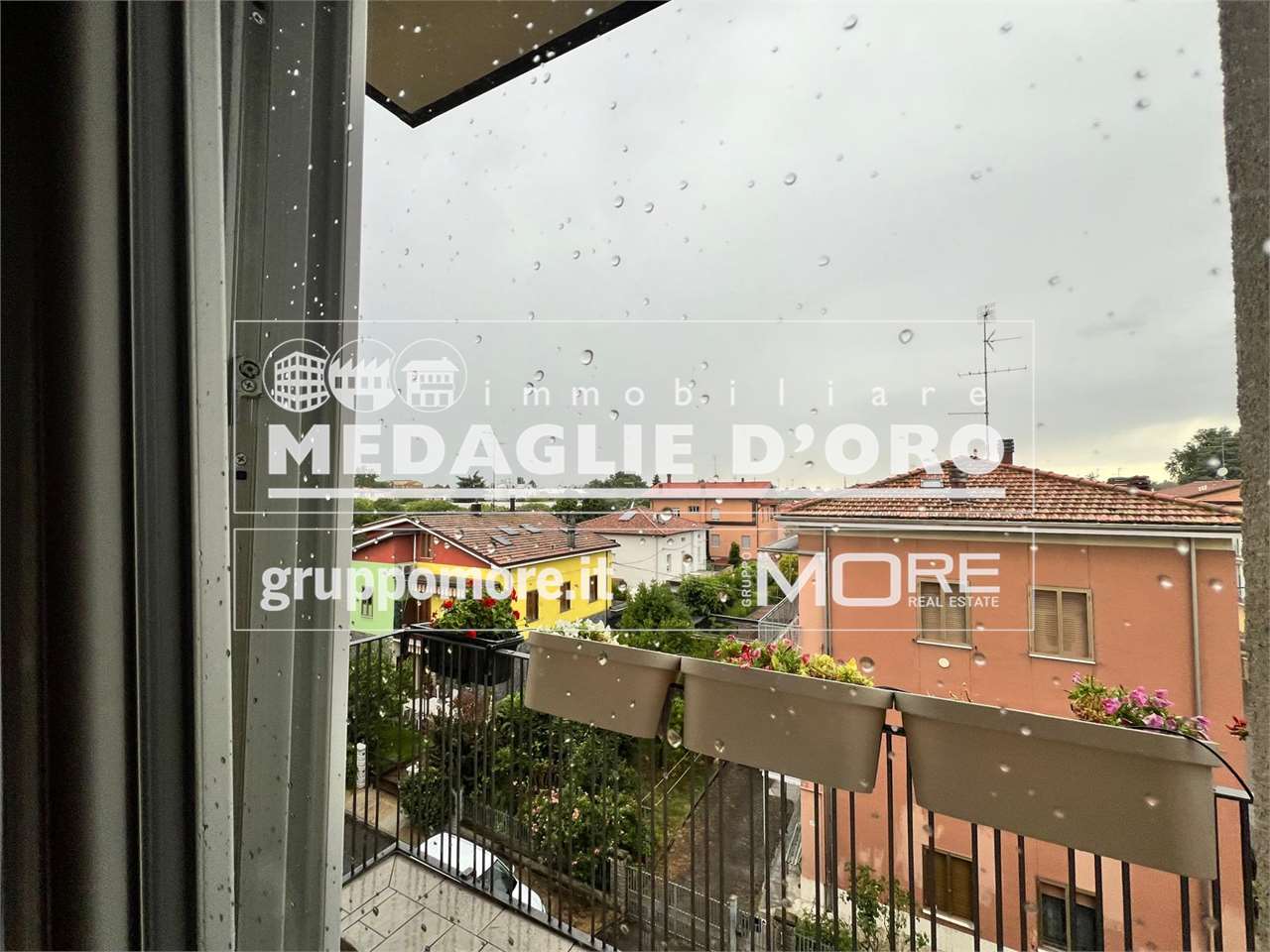 immagine annuncio 7 di 8