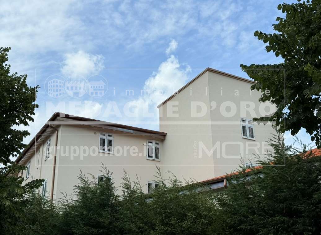 immagine annuncio 12 di 14