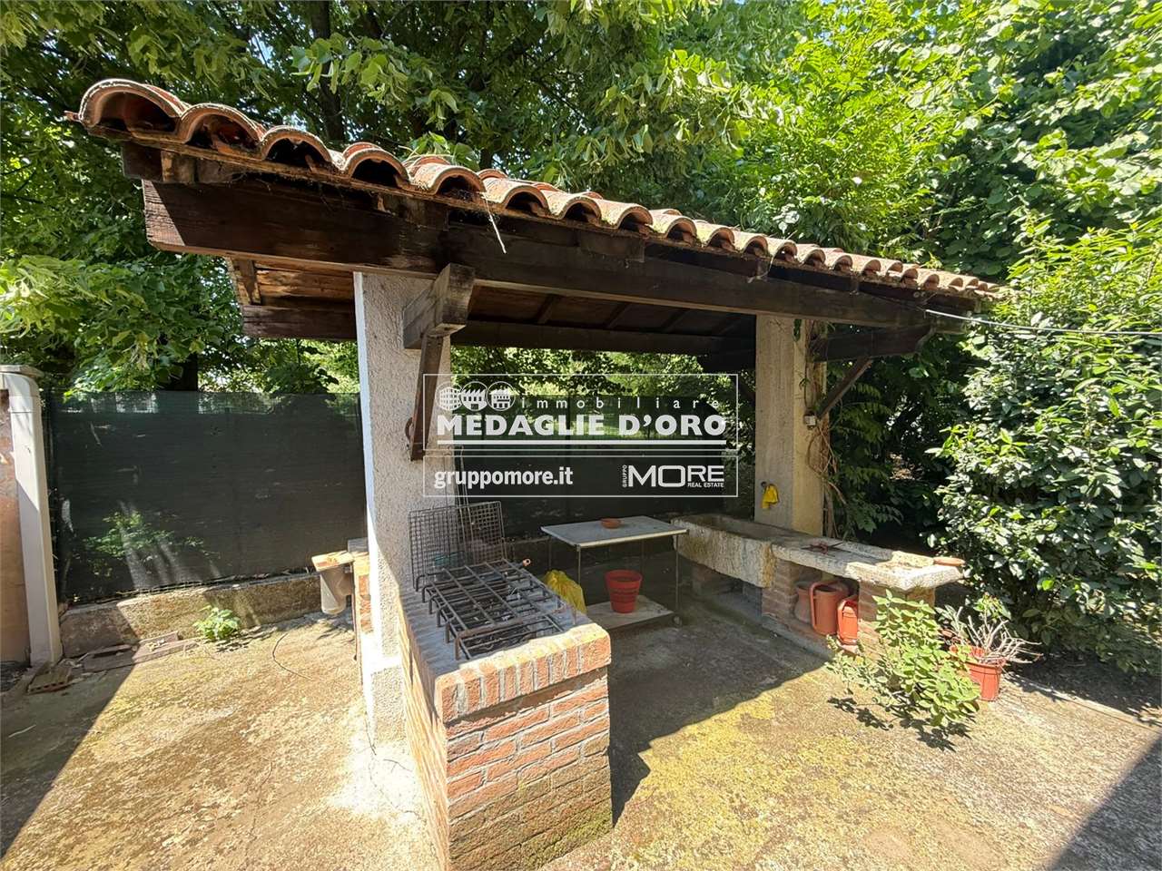 immagine annuncio 4 di 15