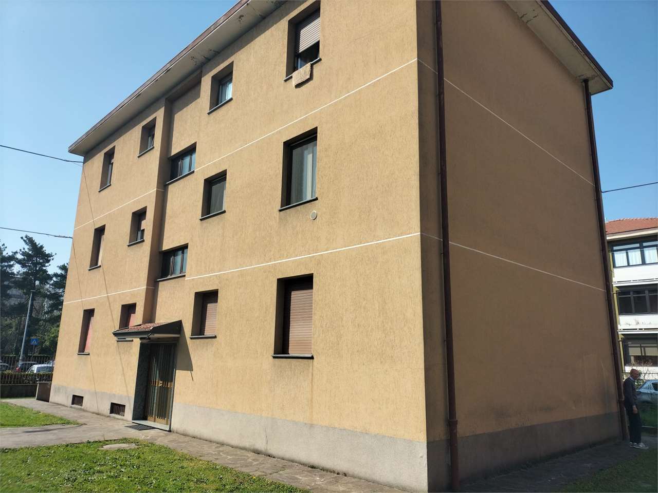 immagine annuncio 14 di 15