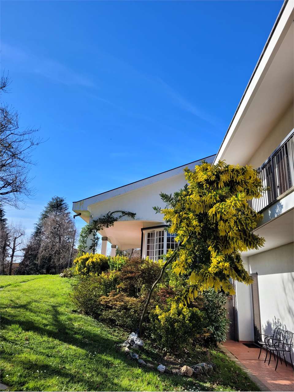 immagine annuncio 4 di 12