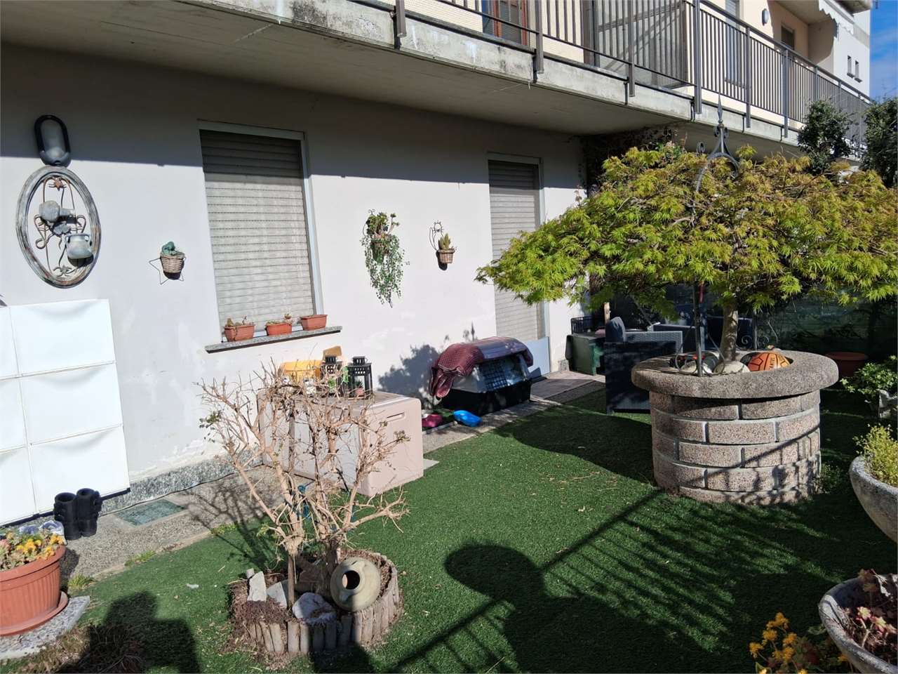 immagine annuncio 10 di 15