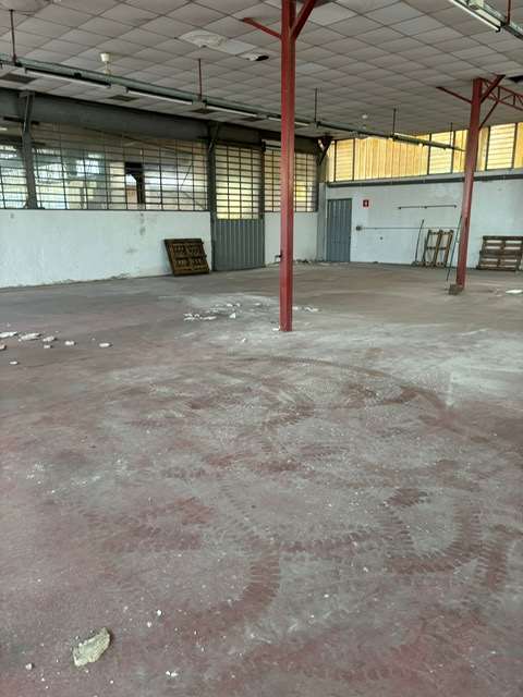 immagine annuncio 4 di 13