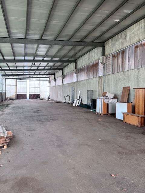 immagine annuncio 3 di 13