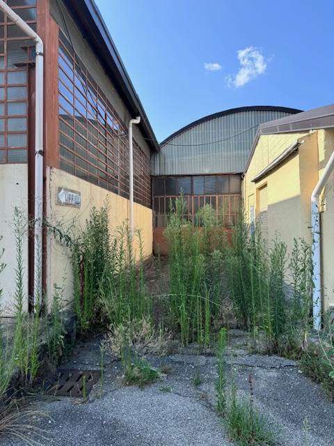 immagine annuncio 12 di 13