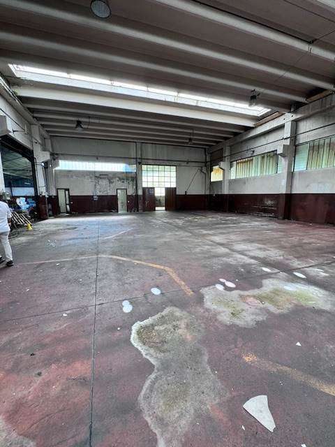 immagine annuncio 8 di 13