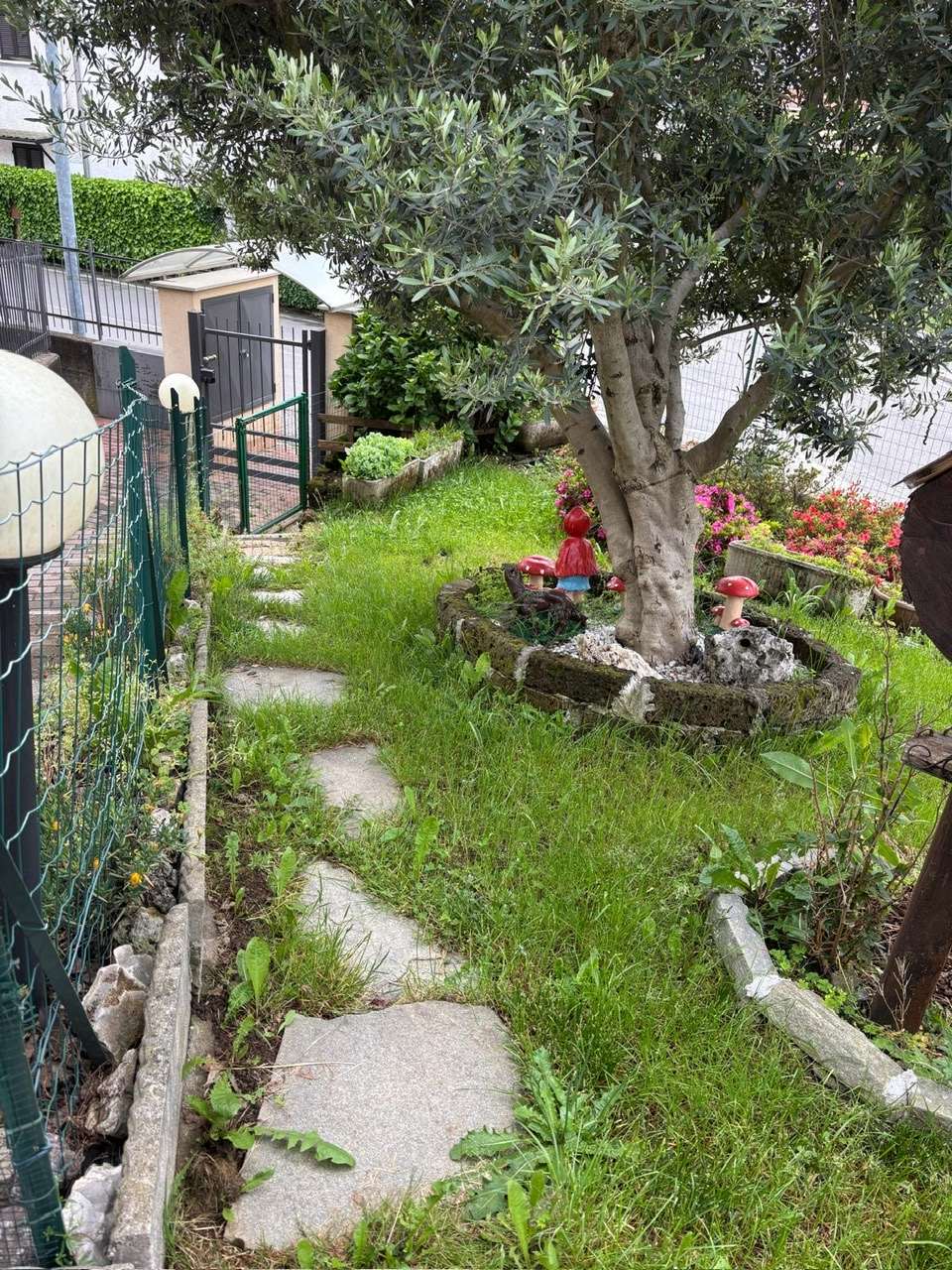 immagine annuncio 9 di 15