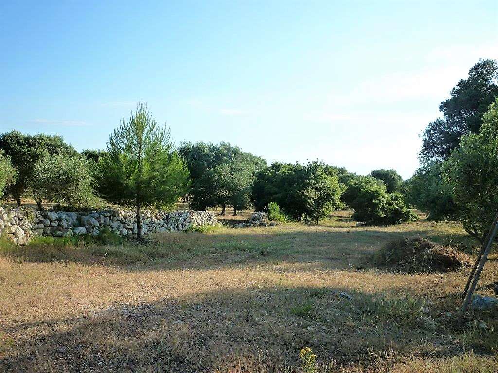 immagine annuncio 5 di 6