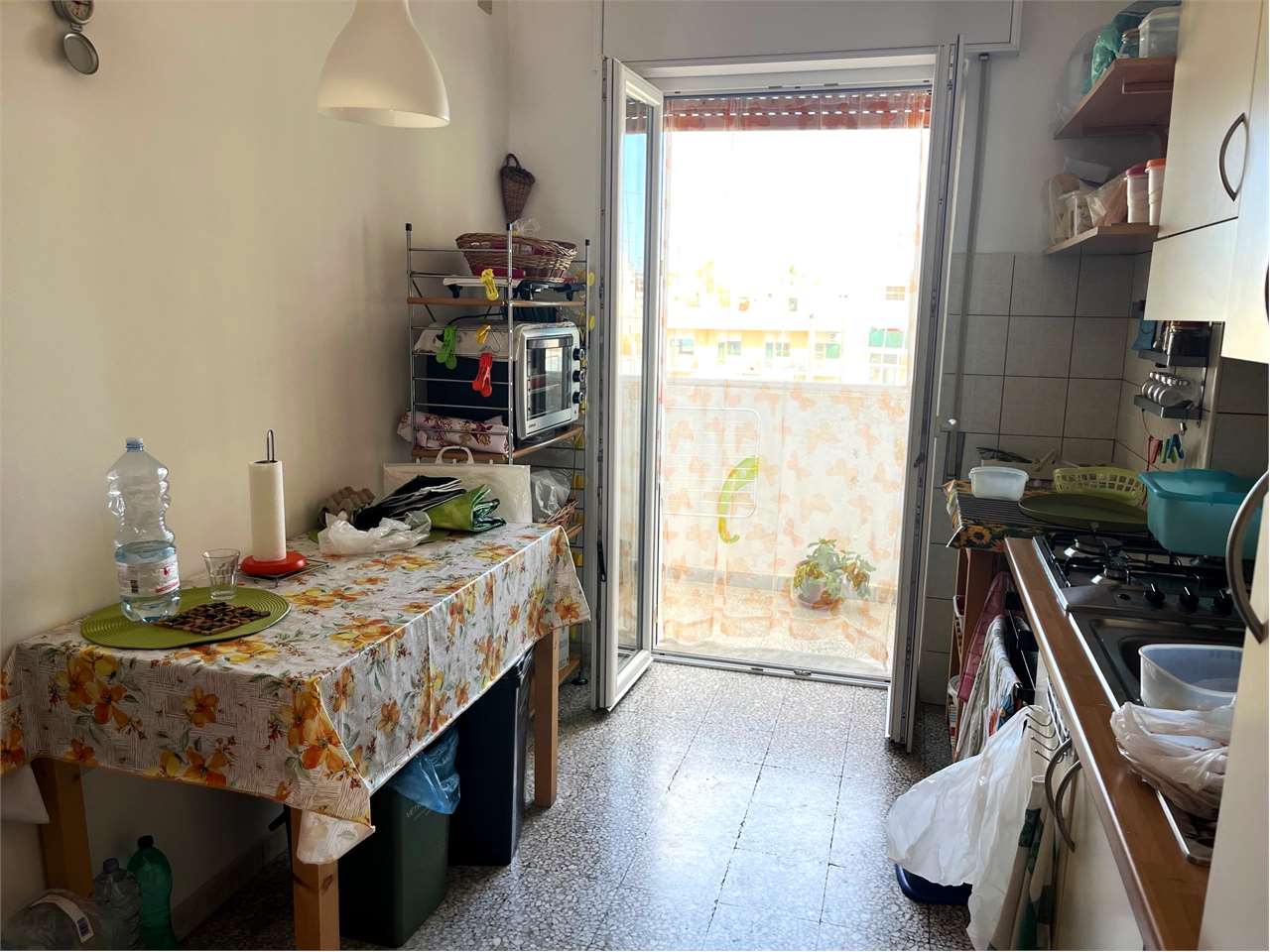 immagine annuncio 5 di 12