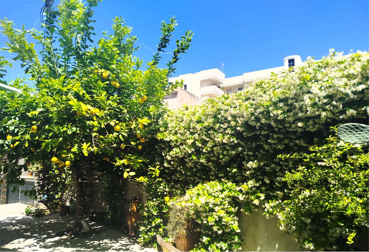 Appartamento semi indipendente con giardino