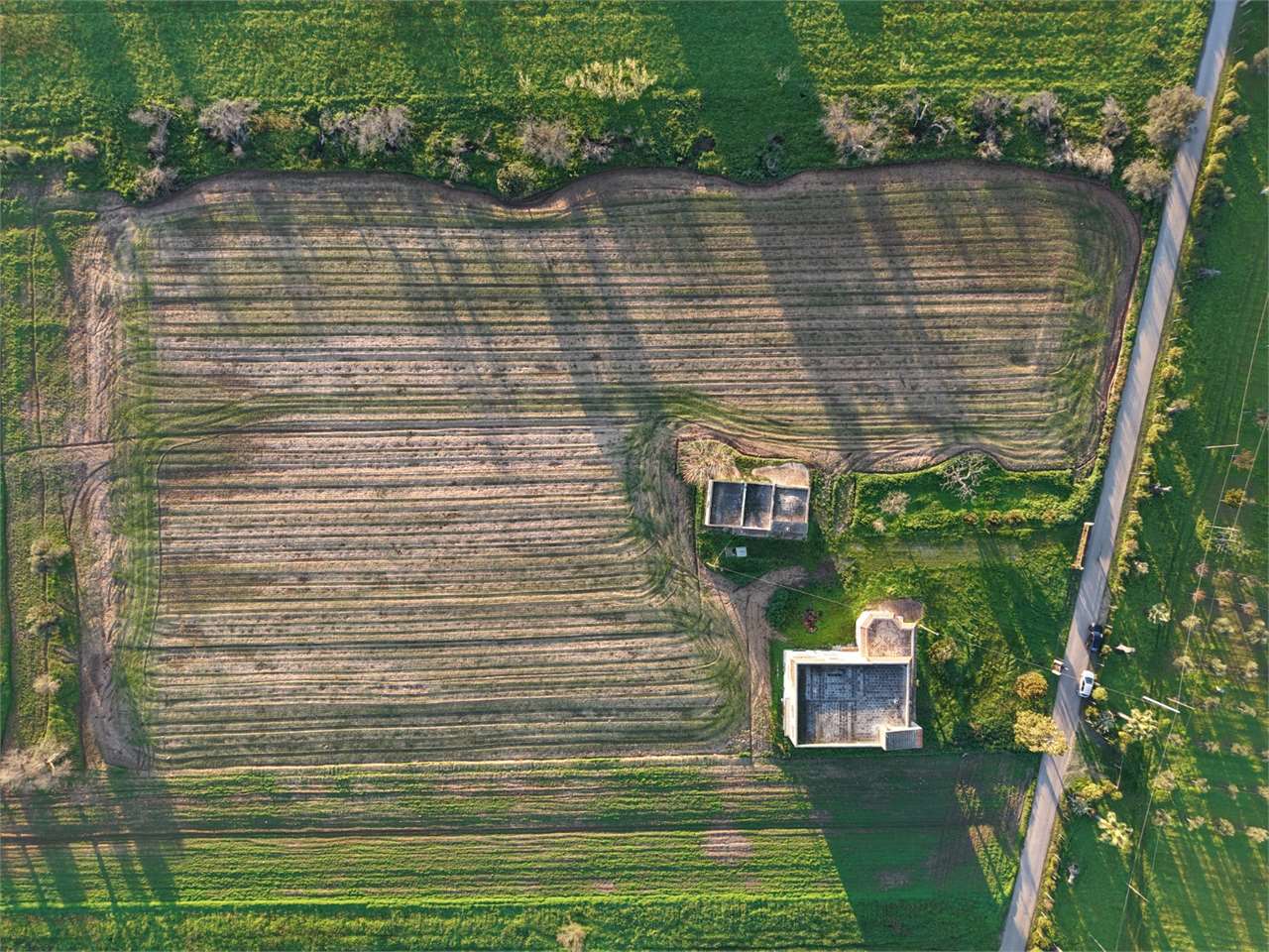 immagine annuncio 1 di 8