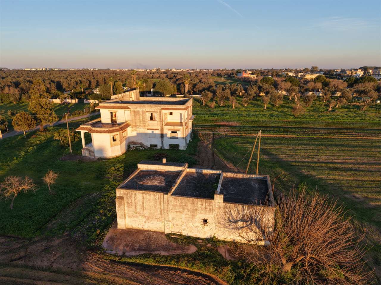 immagine annuncio 4 di 8