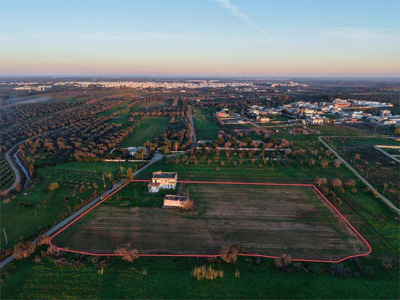 immagine annuncio 7 di 8