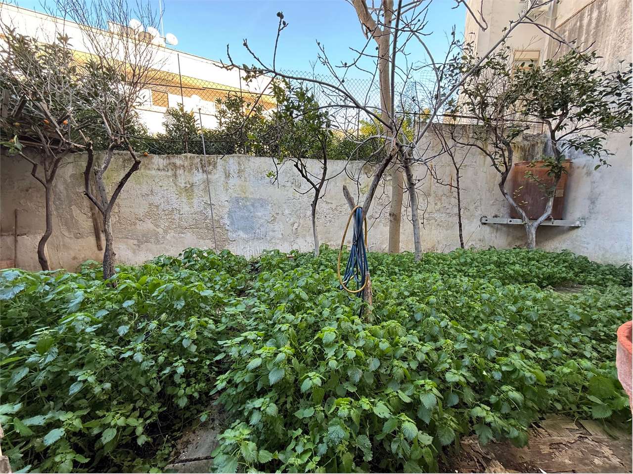 immagine annuncio 9 di 11