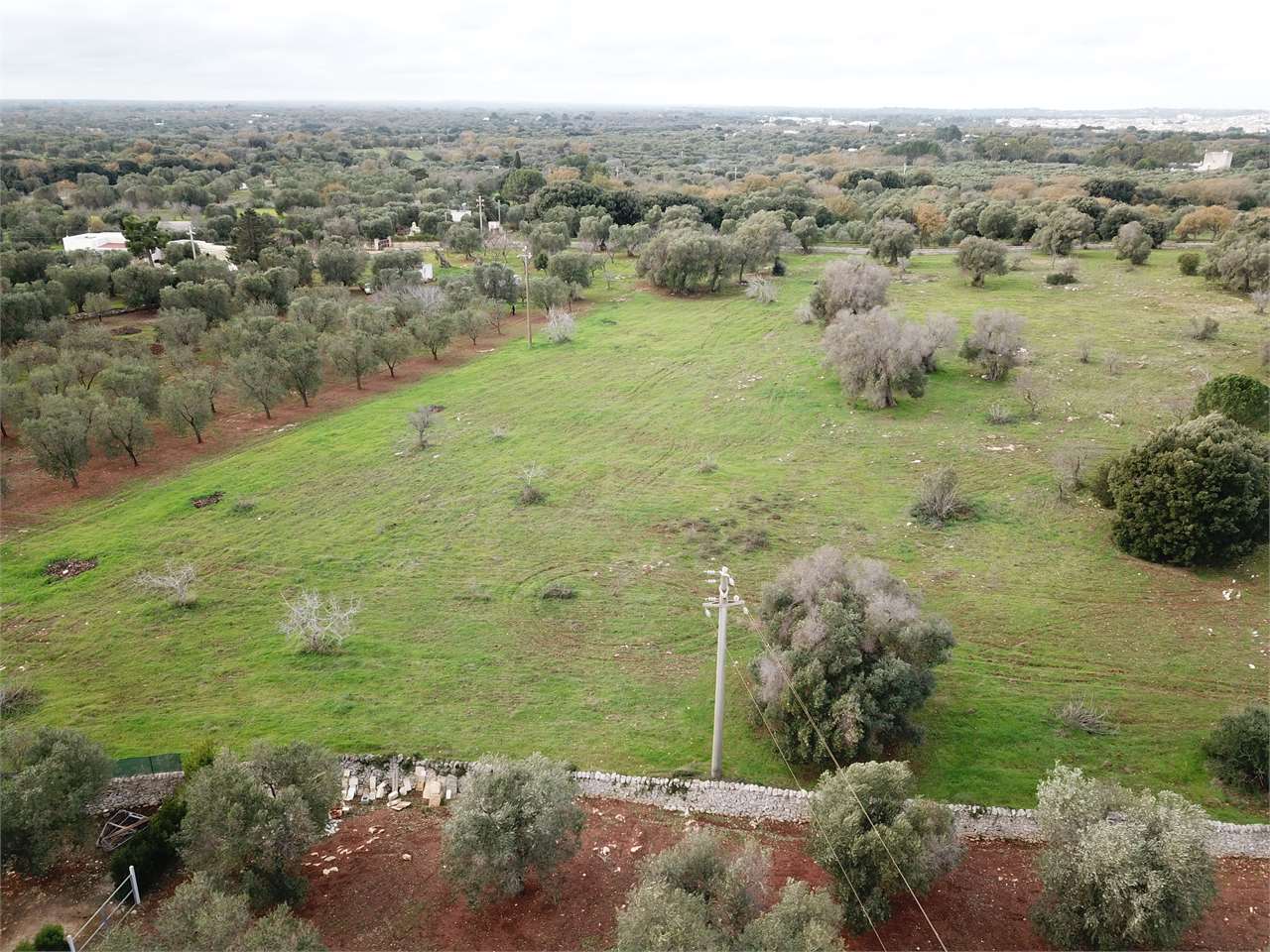 immagine annuncio 1 di 4