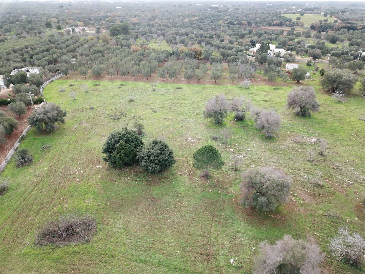 immagine annuncio 2 di 4