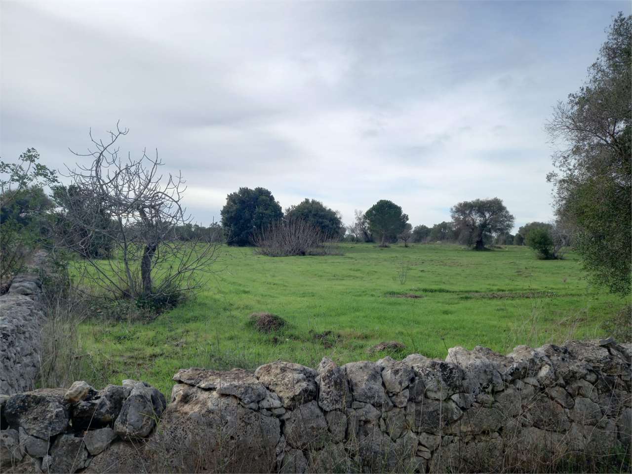 immagine annuncio 3 di 4