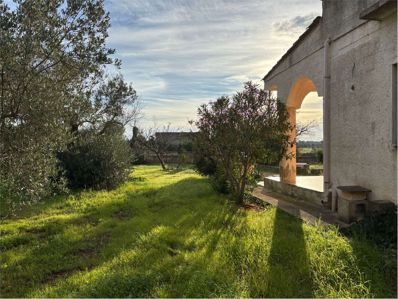 immagine annuncio 3 di 11