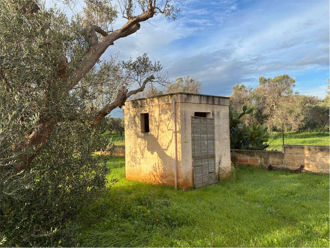 immagine annuncio 5 di 11