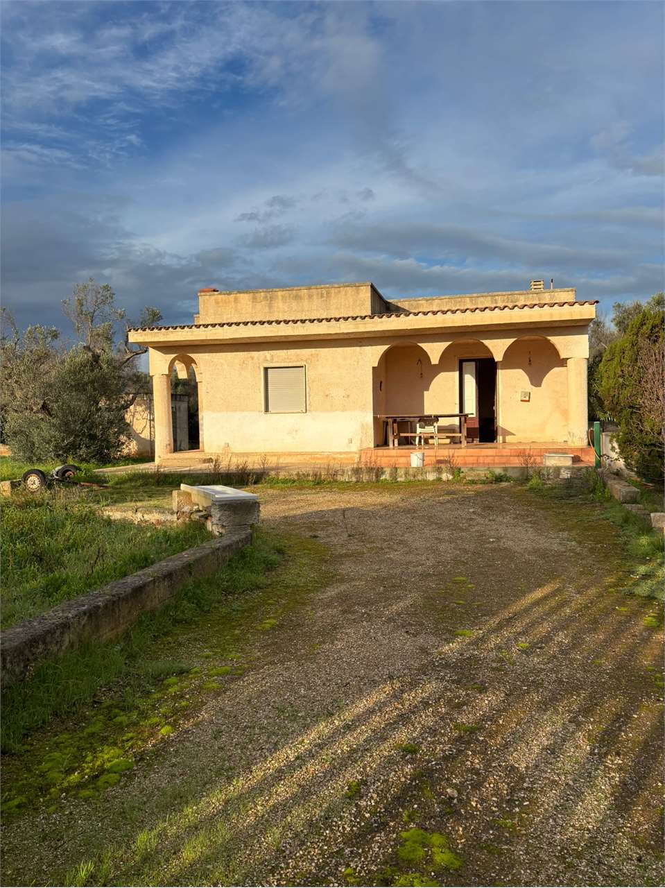 immagine annuncio 10 di 11