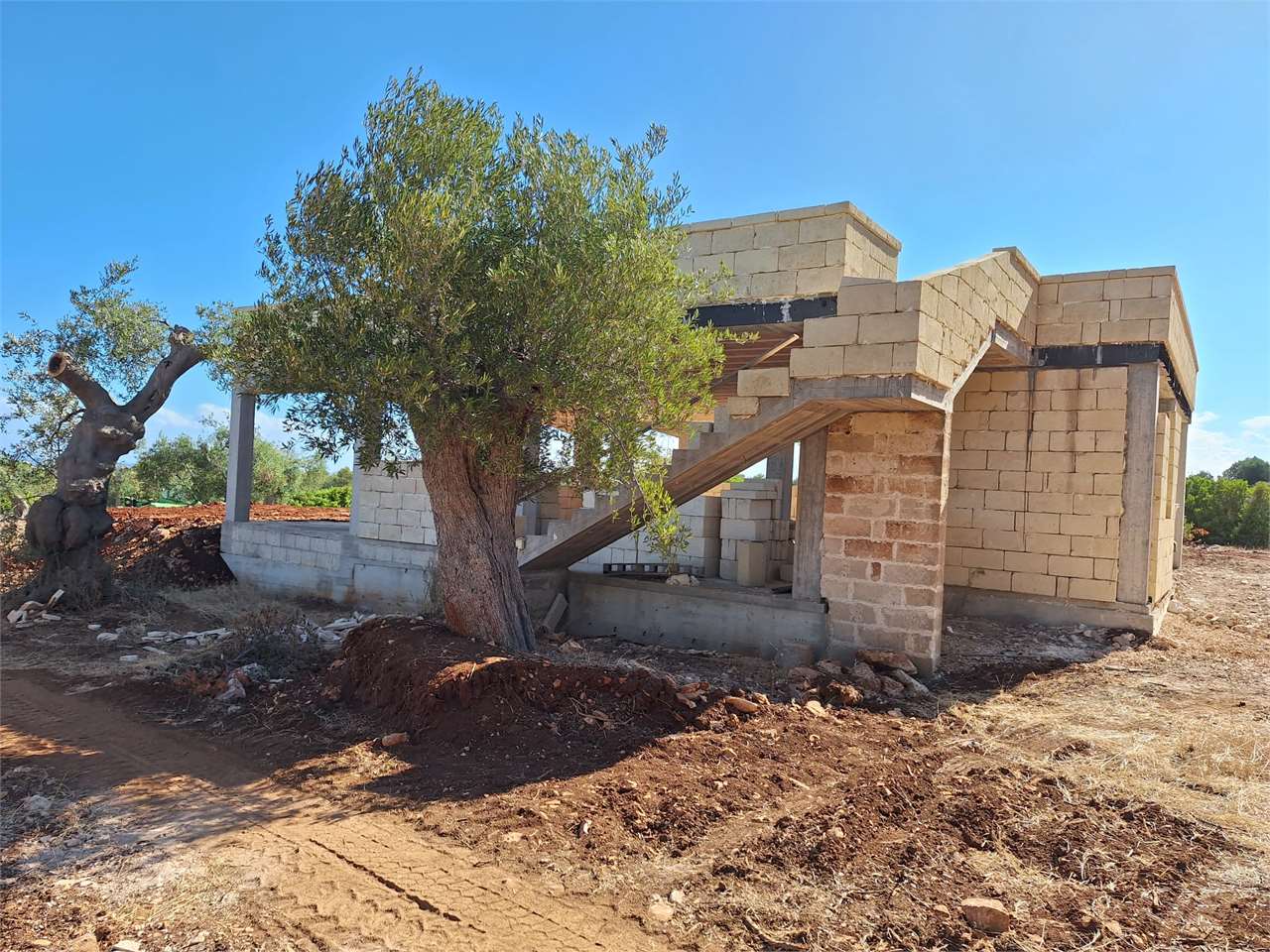 immagine annuncio 8 di 11