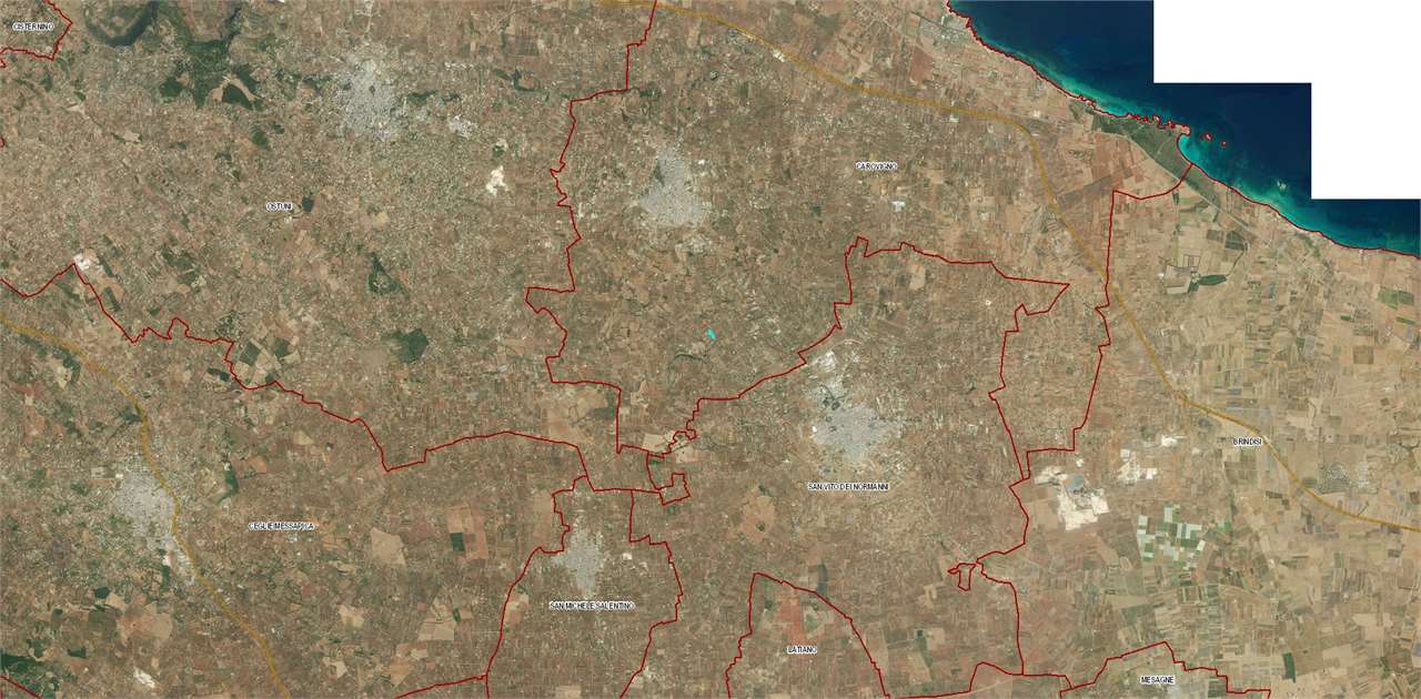 immagine annuncio 1 di 6