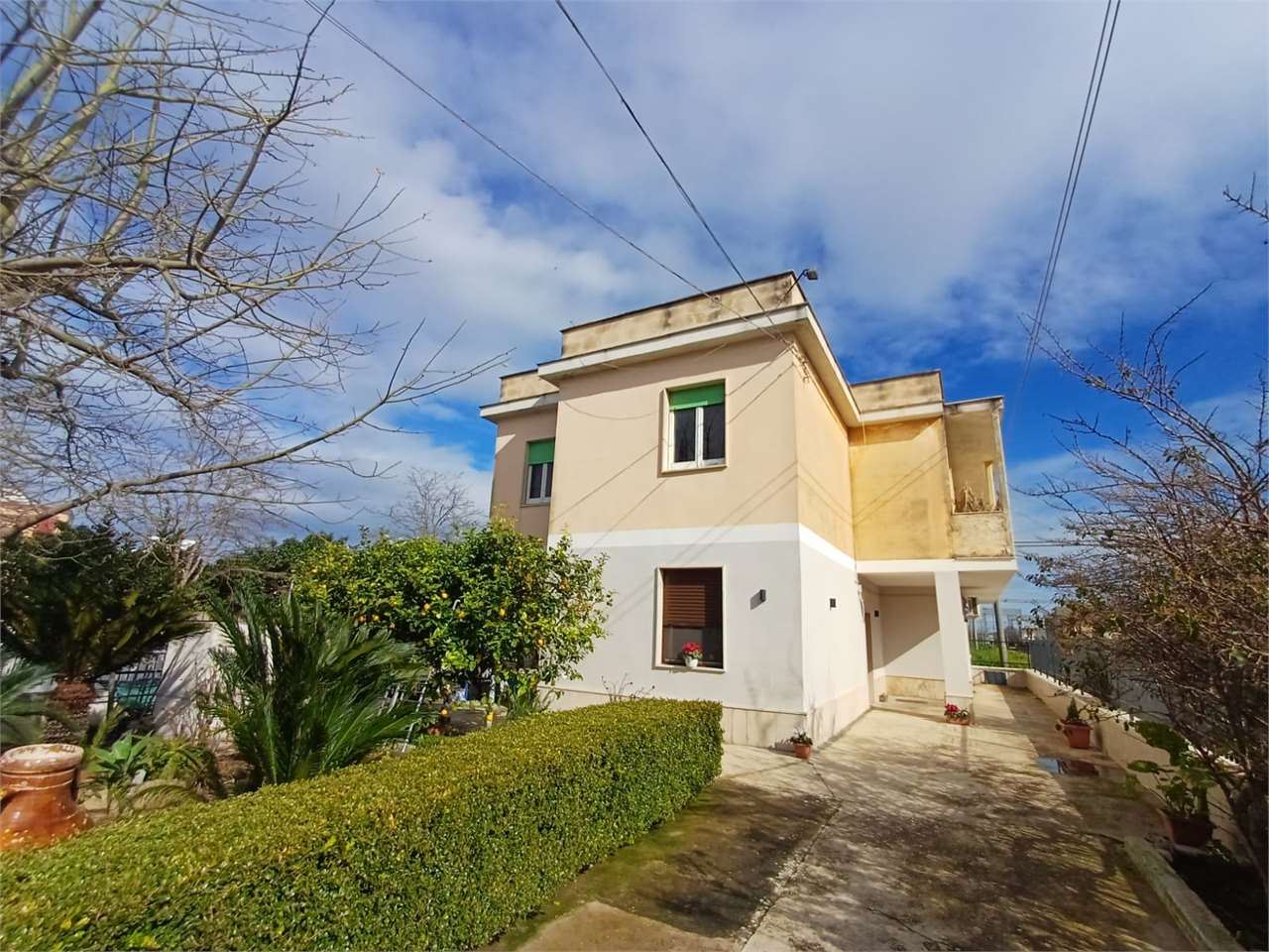 immagine annuncio 1 di 15