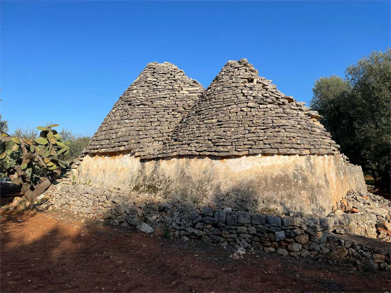 immagine annuncio 5 di 7