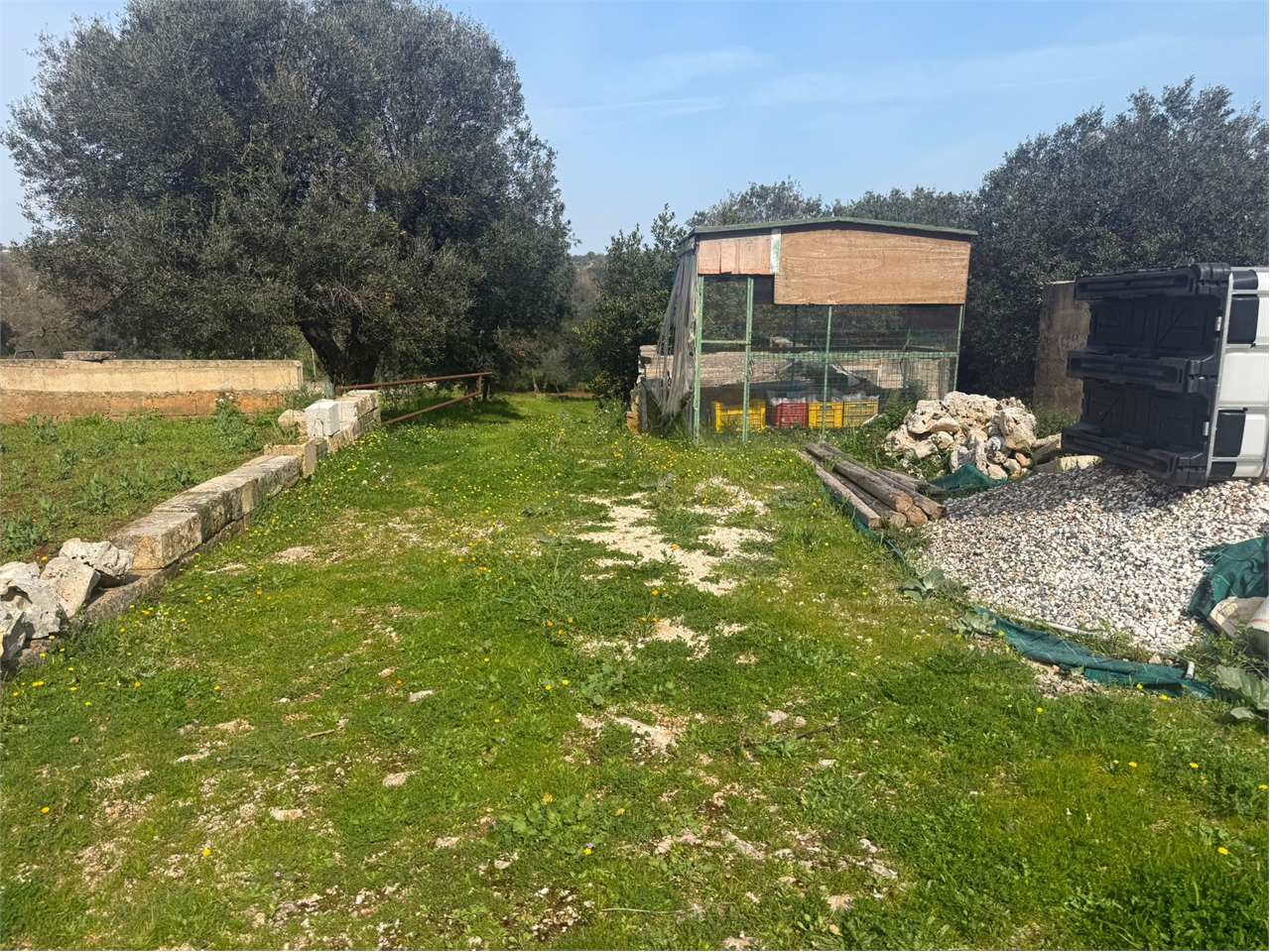 immagine annuncio 5 di 9