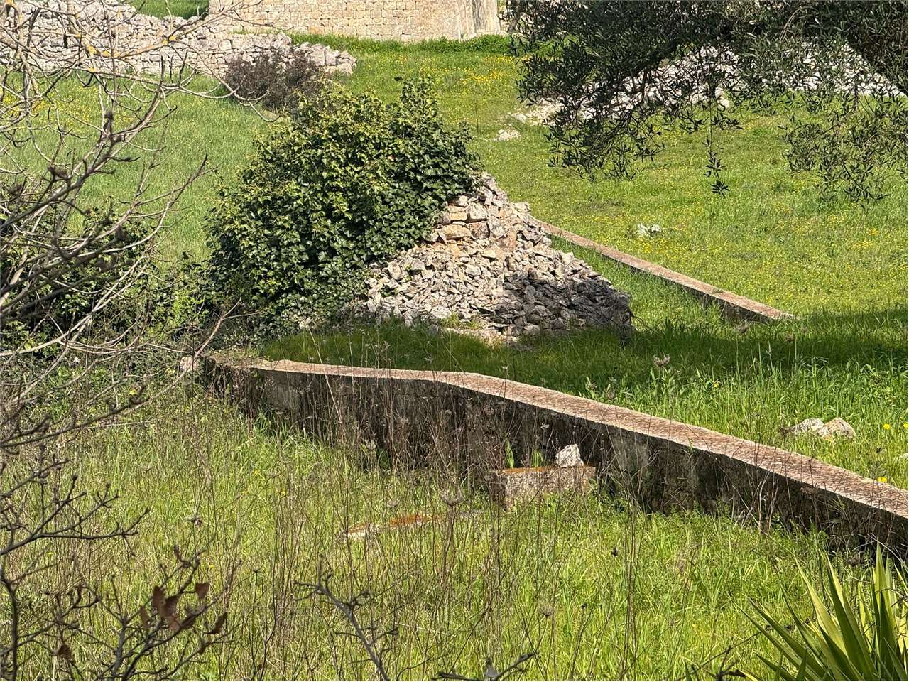 immagine annuncio 6 di 9