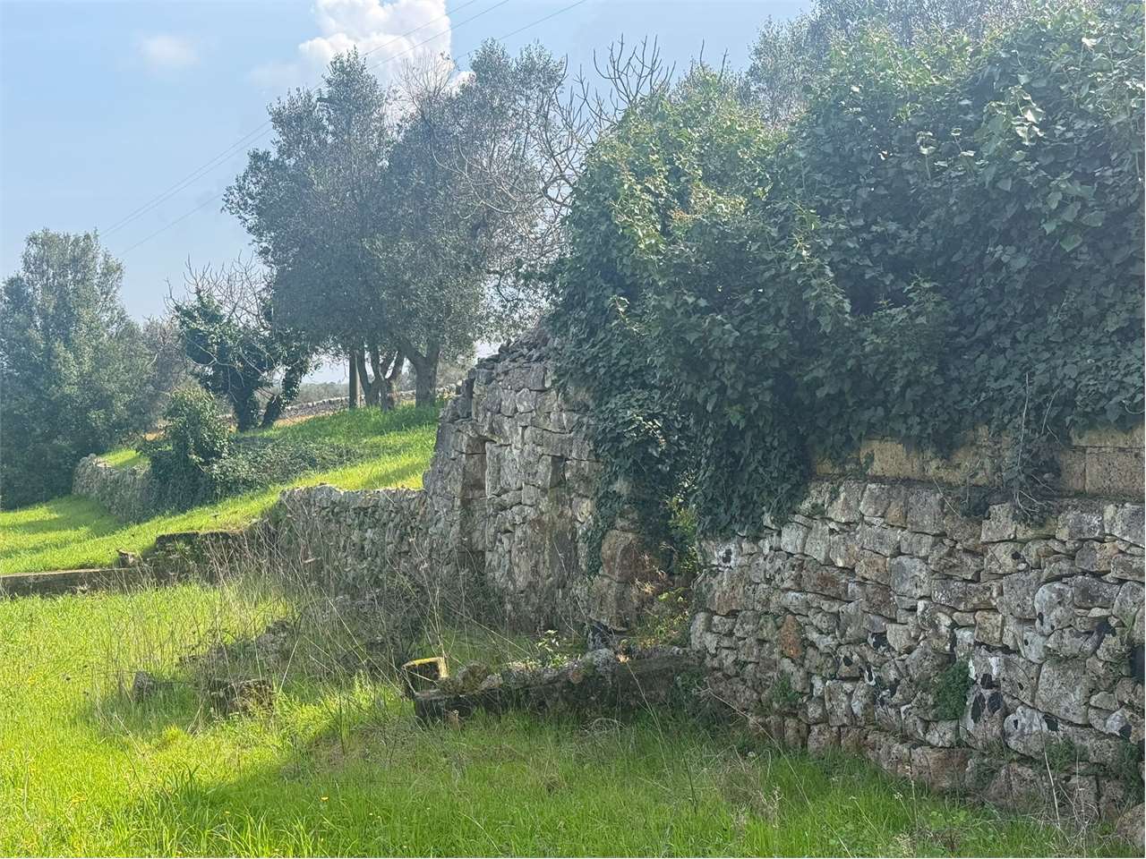 immagine annuncio 7 di 9