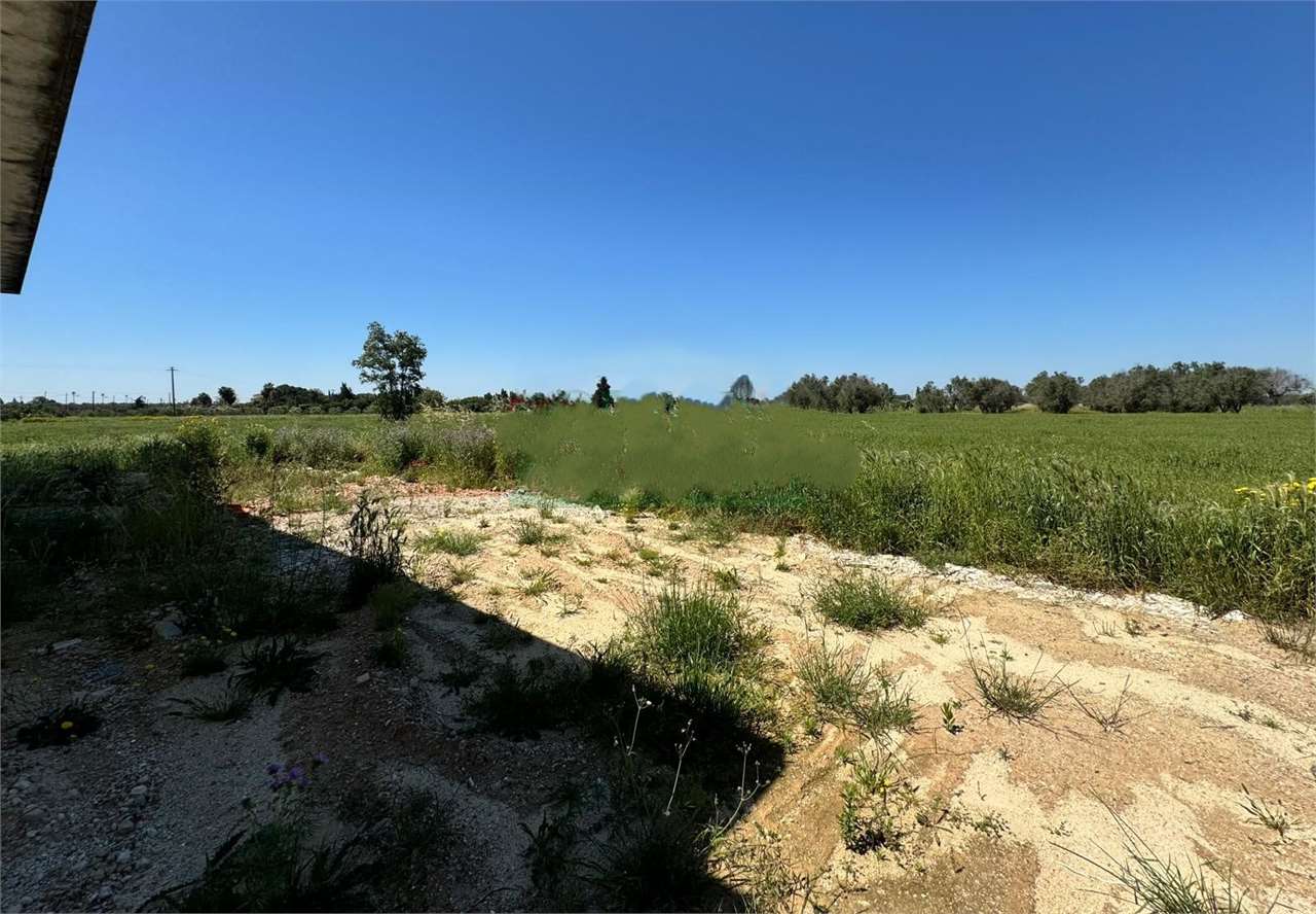 immagine annuncio 1 di 8