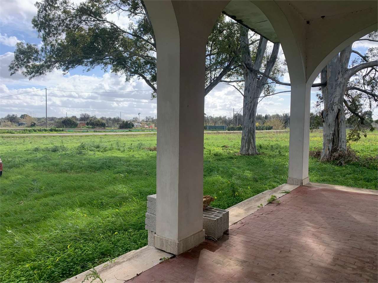 immagine annuncio 2 di 8