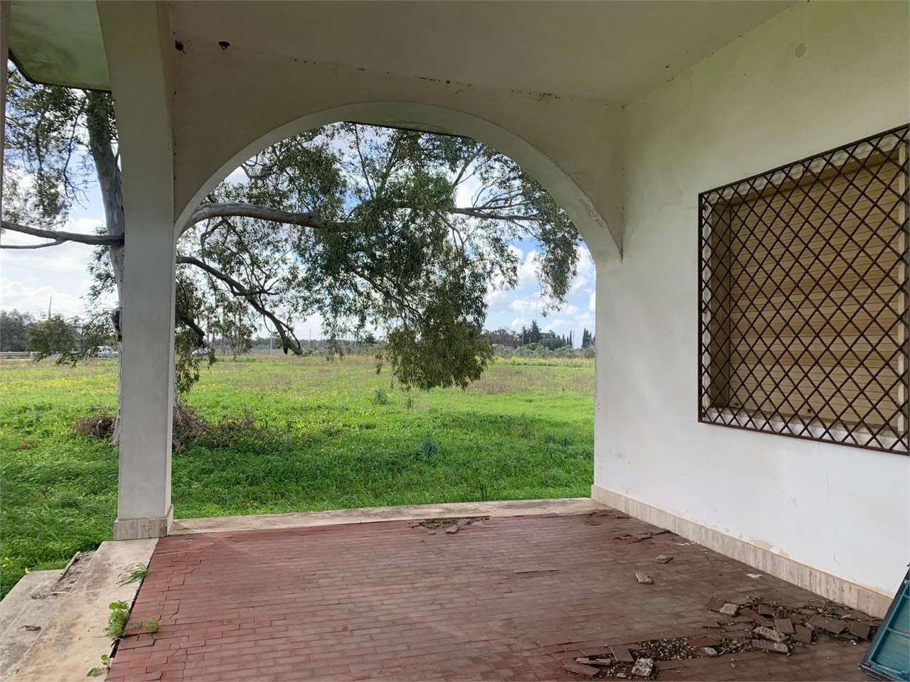 immagine annuncio 4 di 8