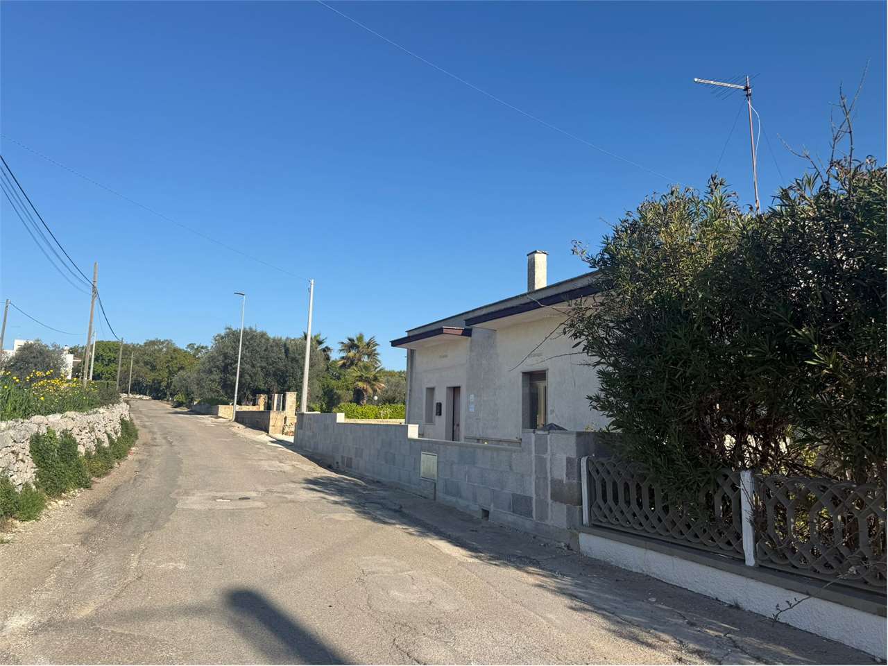 immagine annuncio 3 di 11