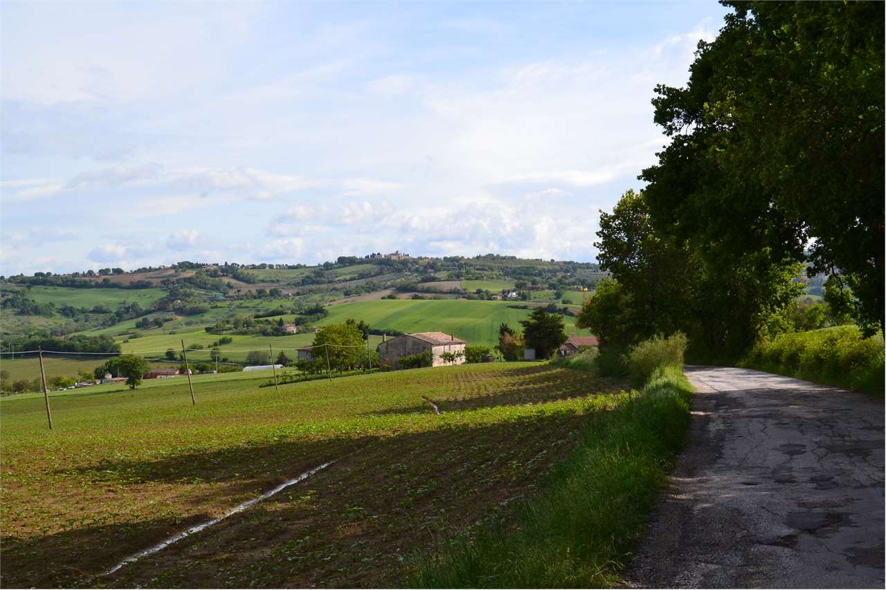 Rustico in vendita a Cartoceto (PU)