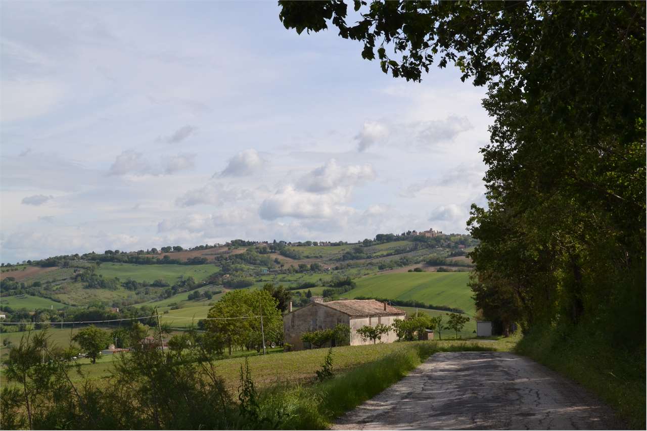 Rustico in vendita a Cartoceto (PU)