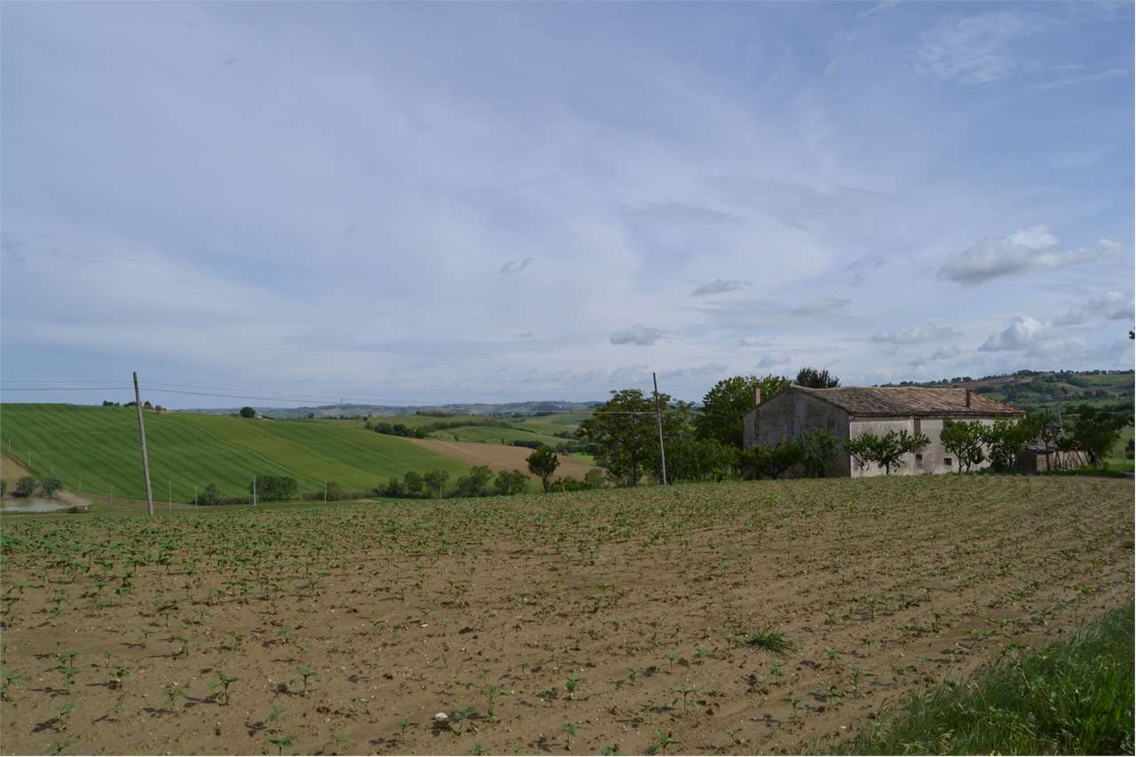 Rustico in vendita a Cartoceto (PU)