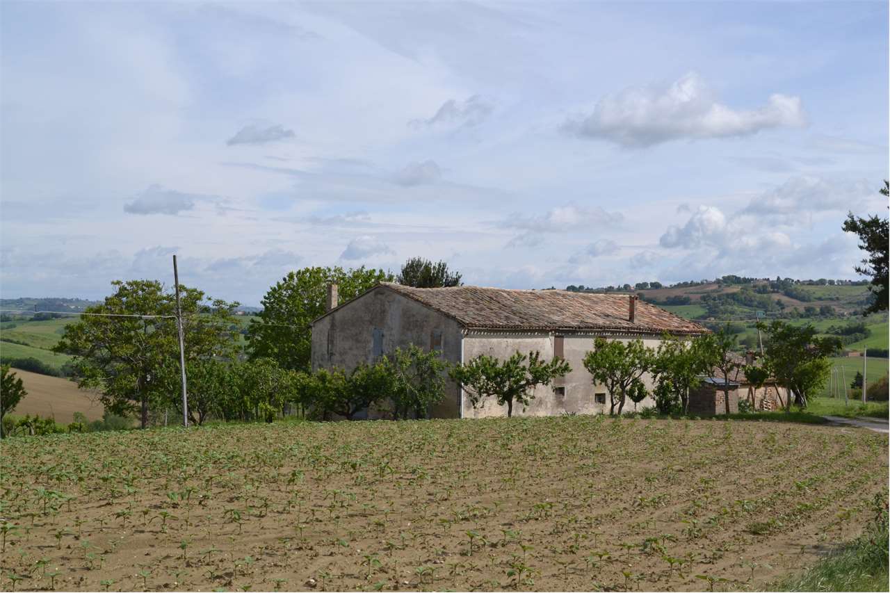Rustico in vendita a Cartoceto (PU)