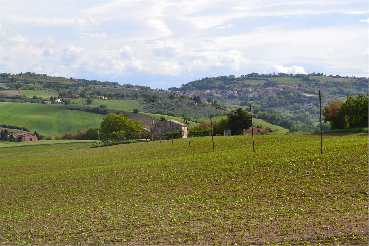Rustico in vendita a Cartoceto (PU)